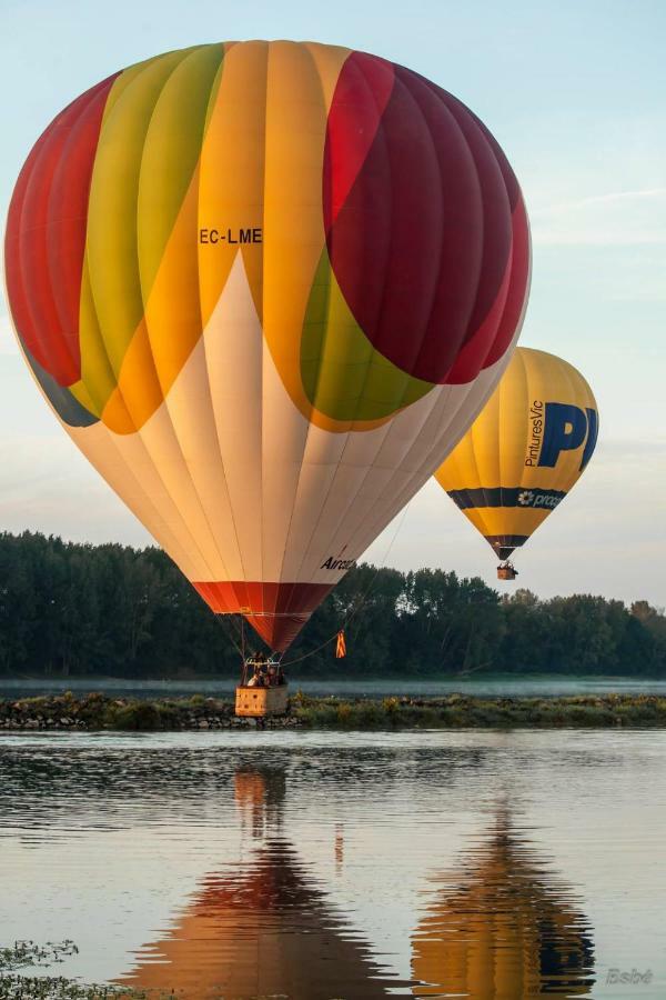Les Orkys De Loire Otel Chalonnes-sur-Loire Dış mekan fotoğraf